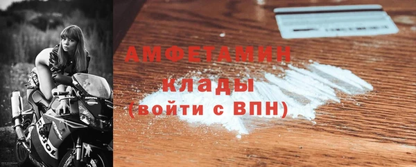 прущие грибы Михайловск