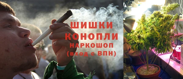 ешки Бронницы