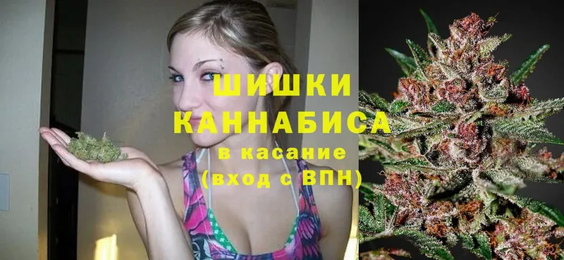 дарк нет как зайти  Кашин  Бошки марихуана индика 